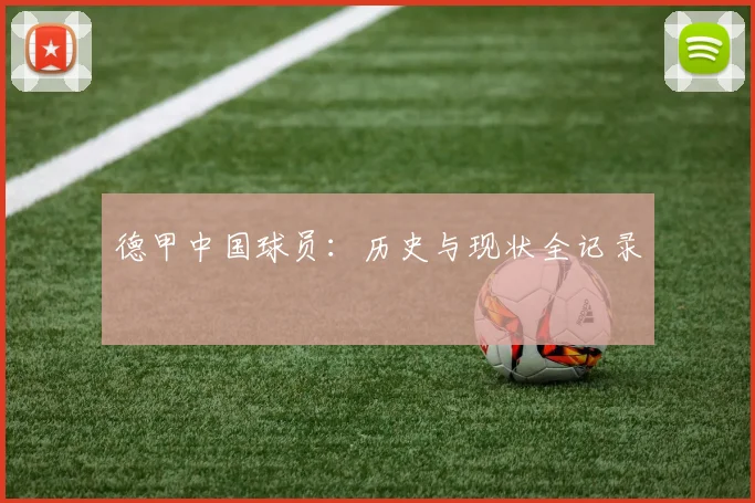 德甲中国球员：历史与现状全记录