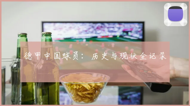 德甲中国球员：历史与现状全记录